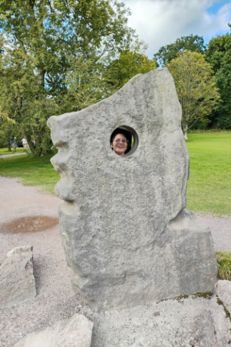 Forest scene in which the winter sun creates a portal scene