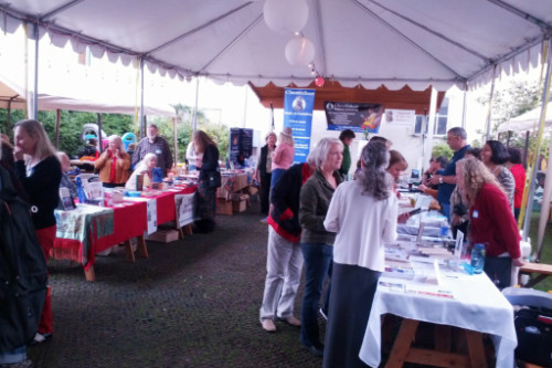Forest scene in which the winter sun creates a portal scene