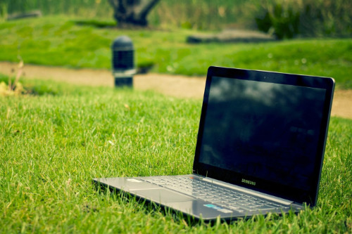 Forest scene in which the winter sun creates a portal scene
